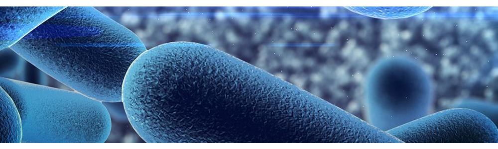 Microcalorimetric study of extruded dog food containing probiotic micro-organisms