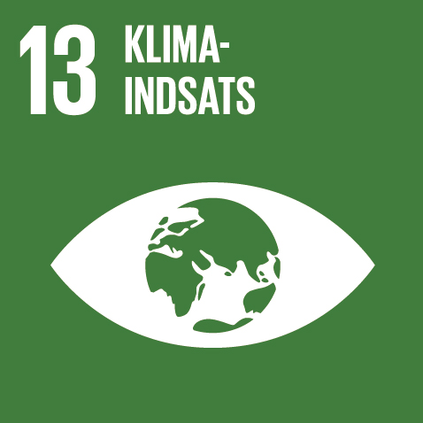 13 Klimaindsats