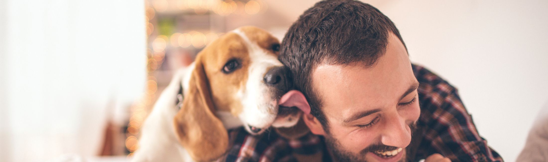 반려견용 LIVE 반려견용 LIVE