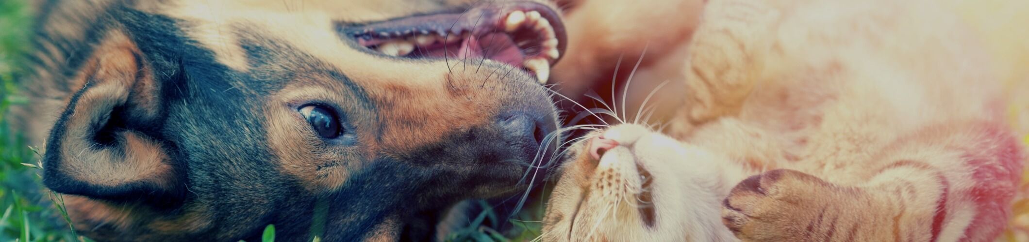 知识中心 知识中心