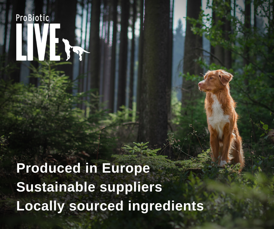 Produced in Europe - Sustainable suppliers - Locally sourced ingredients