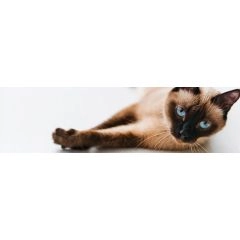 طريقة طبيعية للعافية اليومية