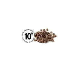 Probiotic Pet food - how is it done?