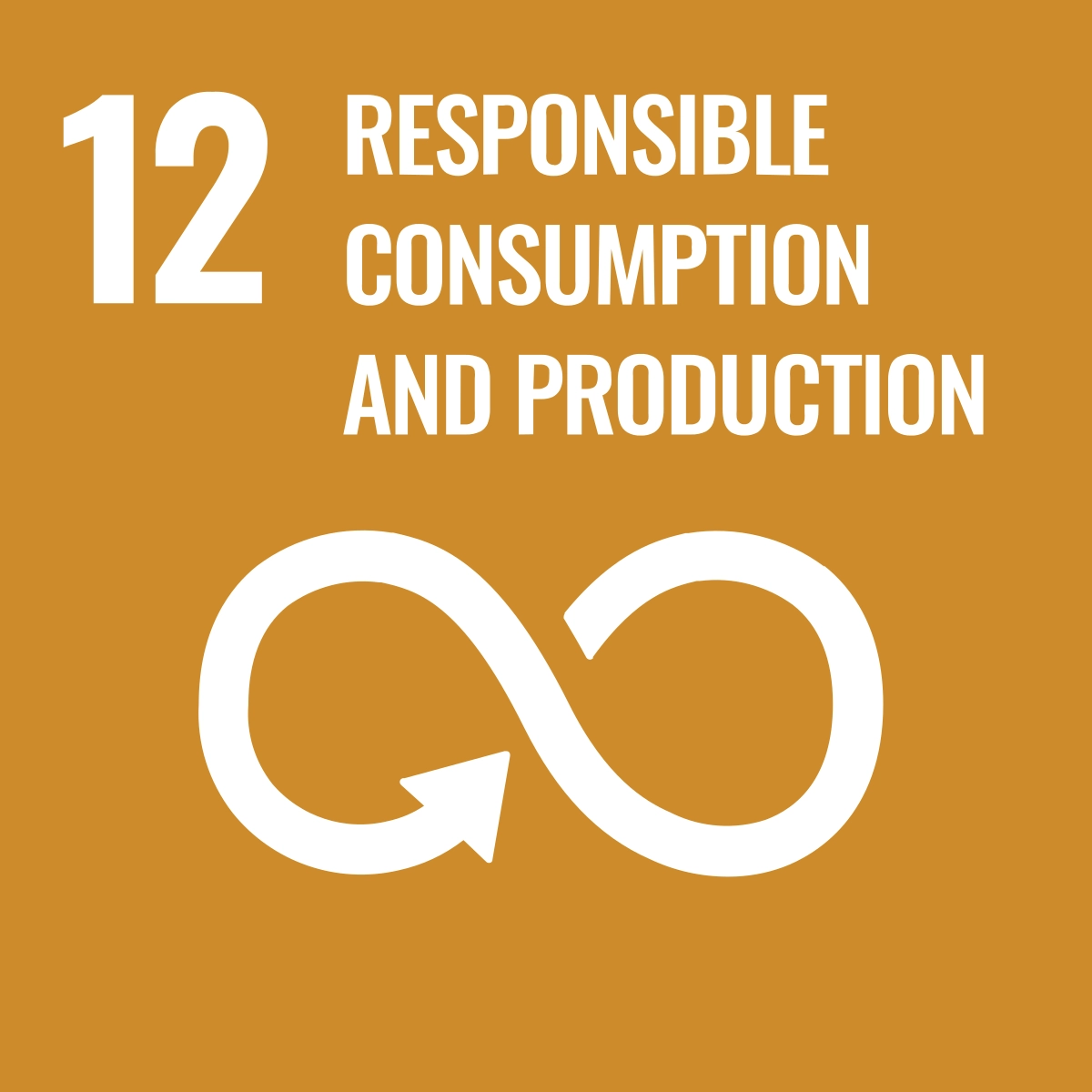 12 Responsible consumption and production