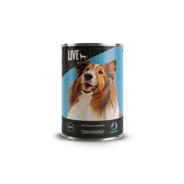 LIVE Dog Wet Huhn