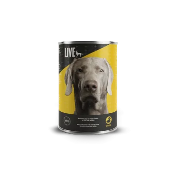 LIVE Dog Wet Ente