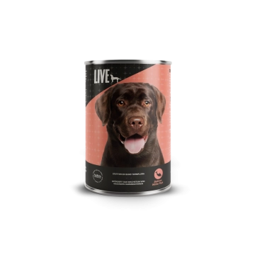 LIVE Dog Wet Lachs & Weißfisch