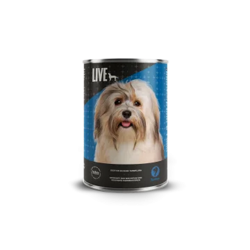 LIVE Dog Wet Truthahn