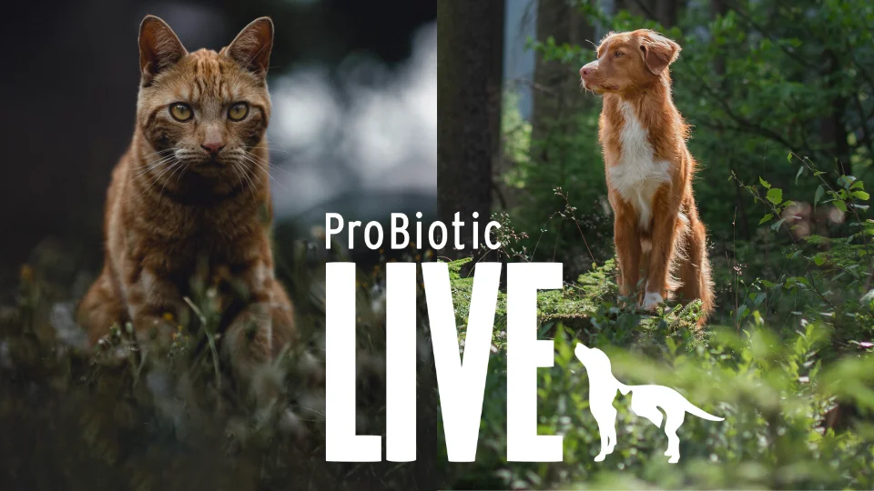 ProBiotic LIVE