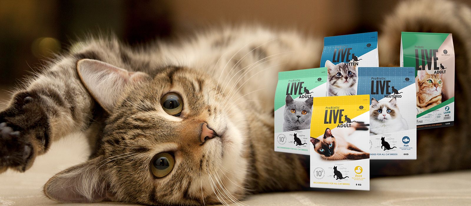 LIVE活菌粮—猫粮