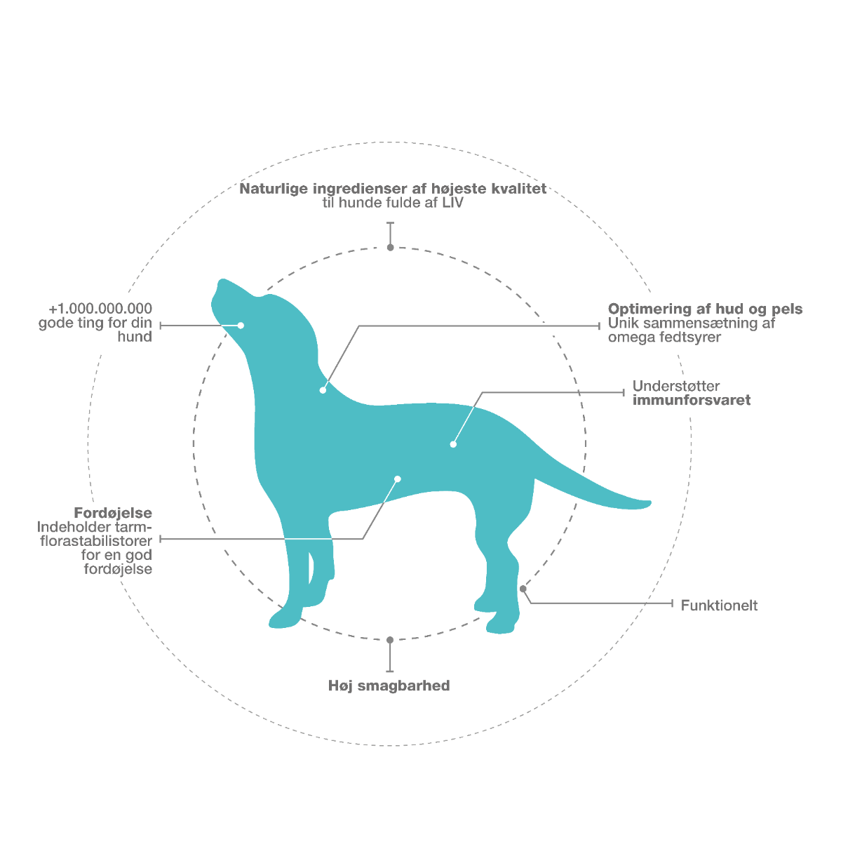 ProBiotic LIVE til hunde
